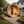 KOVE Outdoor Barrel Sauna – 5–6 Person Garden Sauna with 6kW Electric Heater